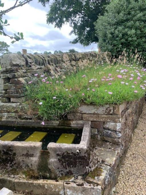 Ivy House Farm, Near Longnor Villa Longnor  Luaran gambar
